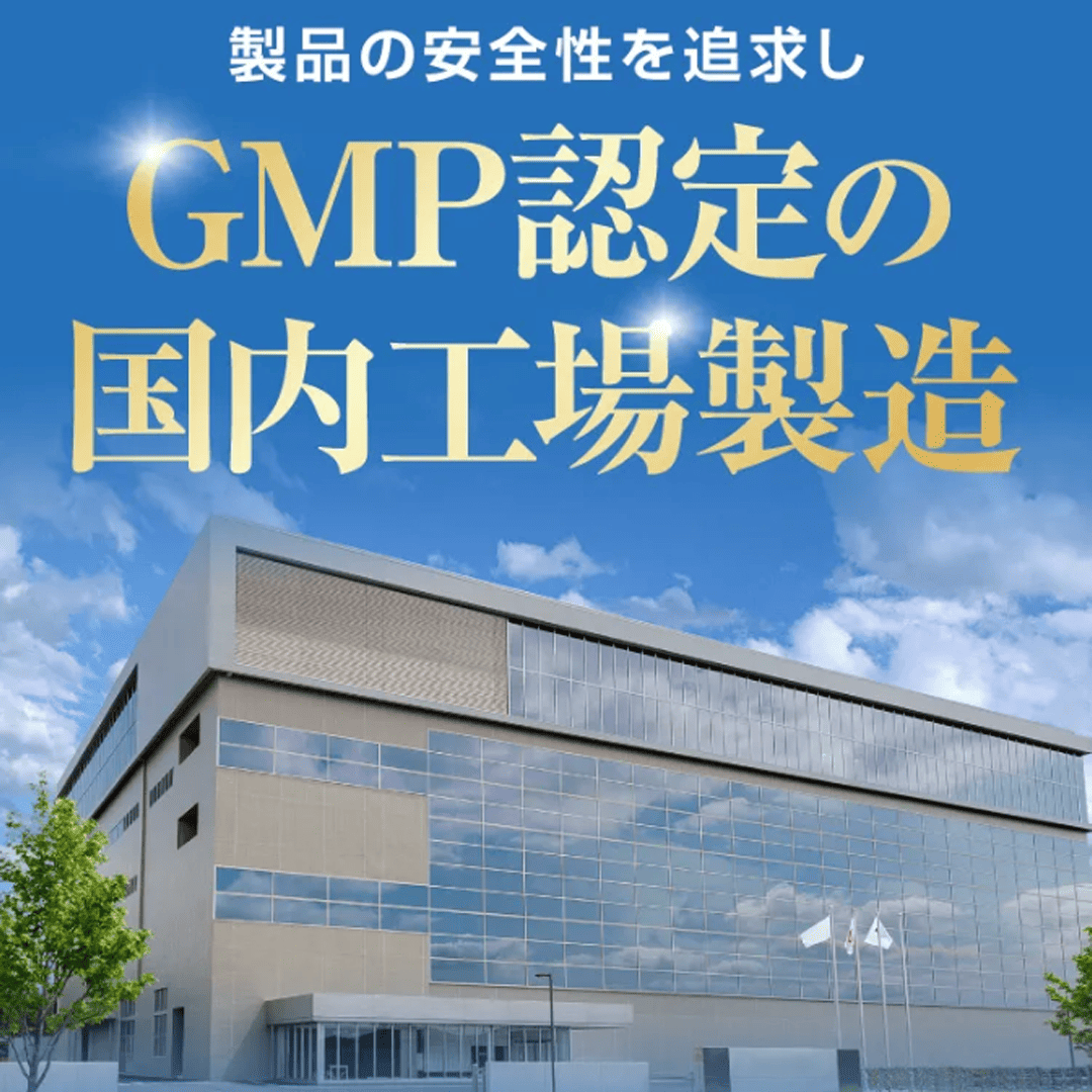 【賞味期限：2026年11月30日】Oigurt