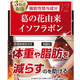 【賞味期限：2026年11月30日】Oigurt
