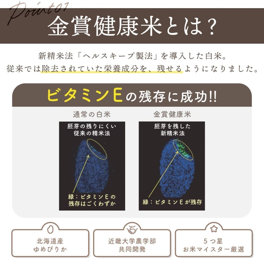 金賞の一膳&プロテインモンスター お試しセット
