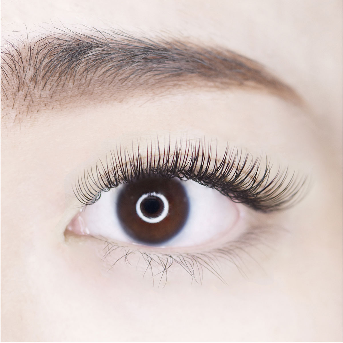 フラットライトラッシュ Dカール【カールキープ力抜群】