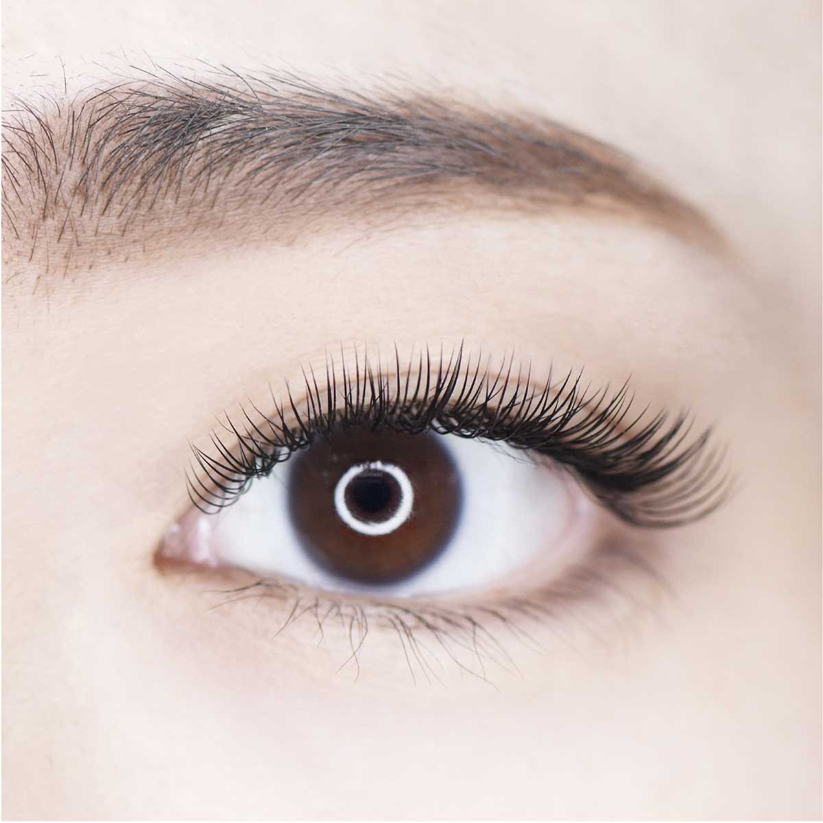 クローバーフラットライトラッシュ Cカール【まつ毛エクステンション】