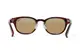 ���󥰥饹�ڥ������ա�Hudson Brown Polarized �ʻ������и���󥺡� ELEBROU eyewear ����֥�