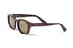���󥰥饹�ڥ������ա�Hudson Brown Polarized �ʻ������и���󥺡� ELEBROU eyewear ����֥�