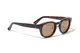 ���󥰥饹�ڥ������ա�Hudson Brown Polarized �ʻ������и���󥺡� ELEBROU eyewear ����֥�