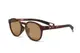 ���󥰥饹�ڥ������ա�ELEBROU GOLF TROON BROWNDEMI��BrownSHINE POLARIZED�ʥ֥饦��Ĵ���и�������̻��͡� ELEBROU eyewear ����֥�