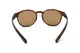 ���󥰥饹�ڥ������ա�ELEBROU GOLF TROON BROWNDEMI��BrownSHINE POLARIZED�ʥ֥饦��Ĵ���и�������̻��͡� ELEBROU eyewear ����֥�