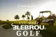 ���󥰥饹�ڥ������ա�ELEBROU GOLF TROON BROWNDEMI��BrownSHINE POLARIZED�ʥ֥饦��Ĵ���и�������̻��͡� ELEBROU eyewear ����֥�