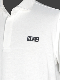 SY32 by SWEET YEARS�֡�GOLF��SKIPPER POLO SHIRTS�� WHITE