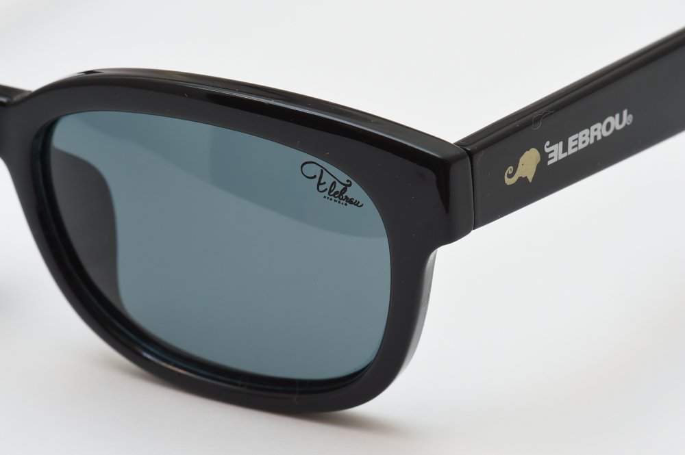 󥰥饹ڥաNo.422-1 FISHING G15 POLARIZEDи̻͡ELEBROU eyewear ֥