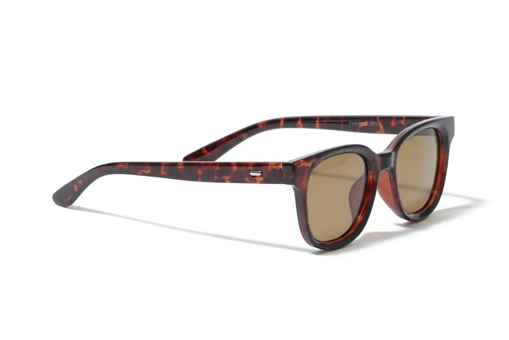 ���󥰥饹�ڥ������ա�Wailupe Brown Polarized�ʻ������и���󥺡˥磻��ڥ֥饦��ݥ�饤���� ELEBROU eyewear ����֥�