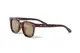 ���󥰥饹�ڥ������ա�Wailupe Brown Polarized�ʻ������и���󥺡˥磻��ڥ֥饦��ݥ�饤���� ELEBROU eyewear ����֥�