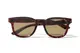 ���󥰥饹�ڥ������ա�Wailupe Brown Polarized�ʻ������и���󥺡˥磻��ڥ֥饦��ݥ�饤���� ELEBROU eyewear ����֥�
