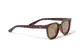 ���󥰥饹�ڥ������ա�Wailupe Brown Polarized�ʻ������и���󥺡˥磻��ڥ֥饦��ݥ�饤���� ELEBROU eyewear ����֥�
