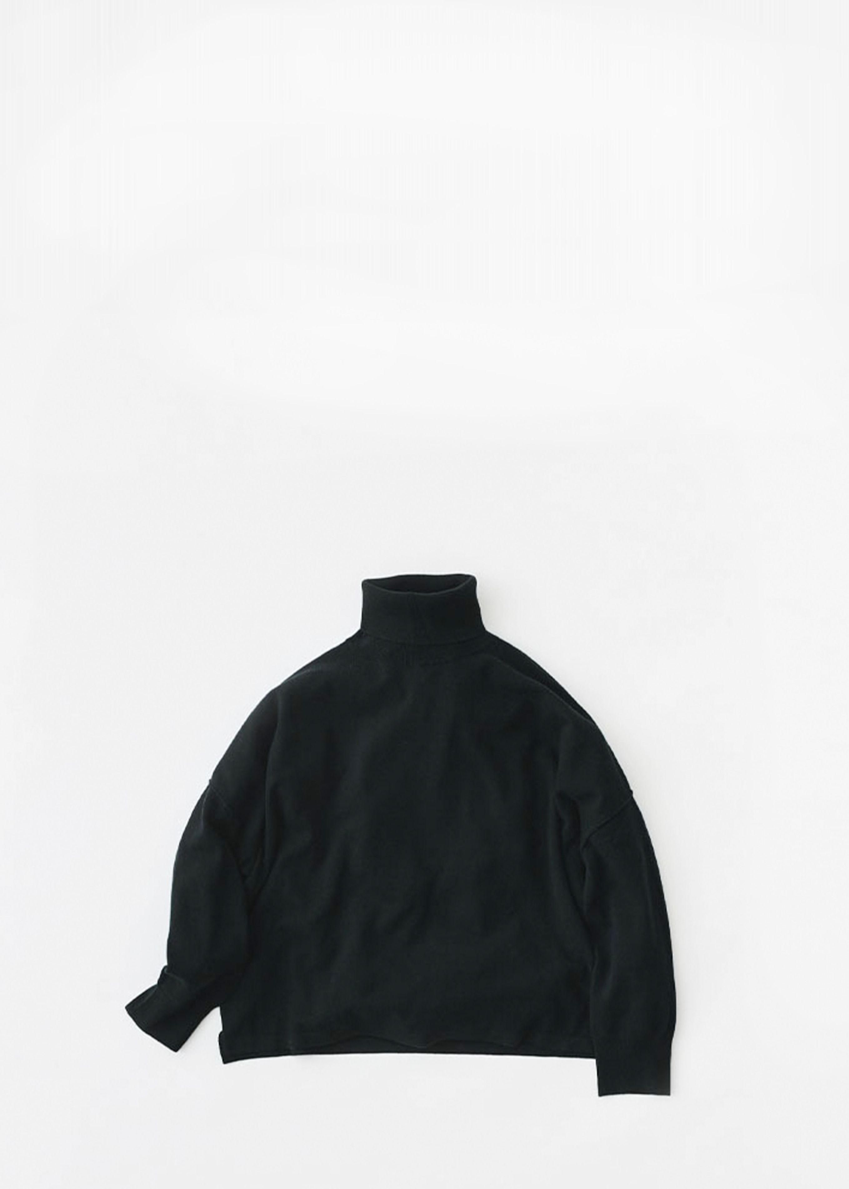 ST-149a<br>5COL TURTLE NECK - BASIC - Veritecoeur(ヴェリテクール)