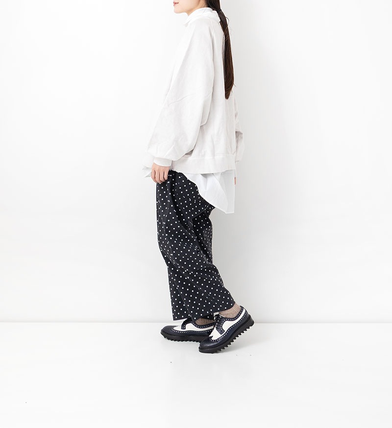 VC-2784<br>ドットオールインワン