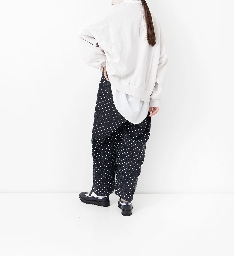 VC-2784<br>ドットオールインワン