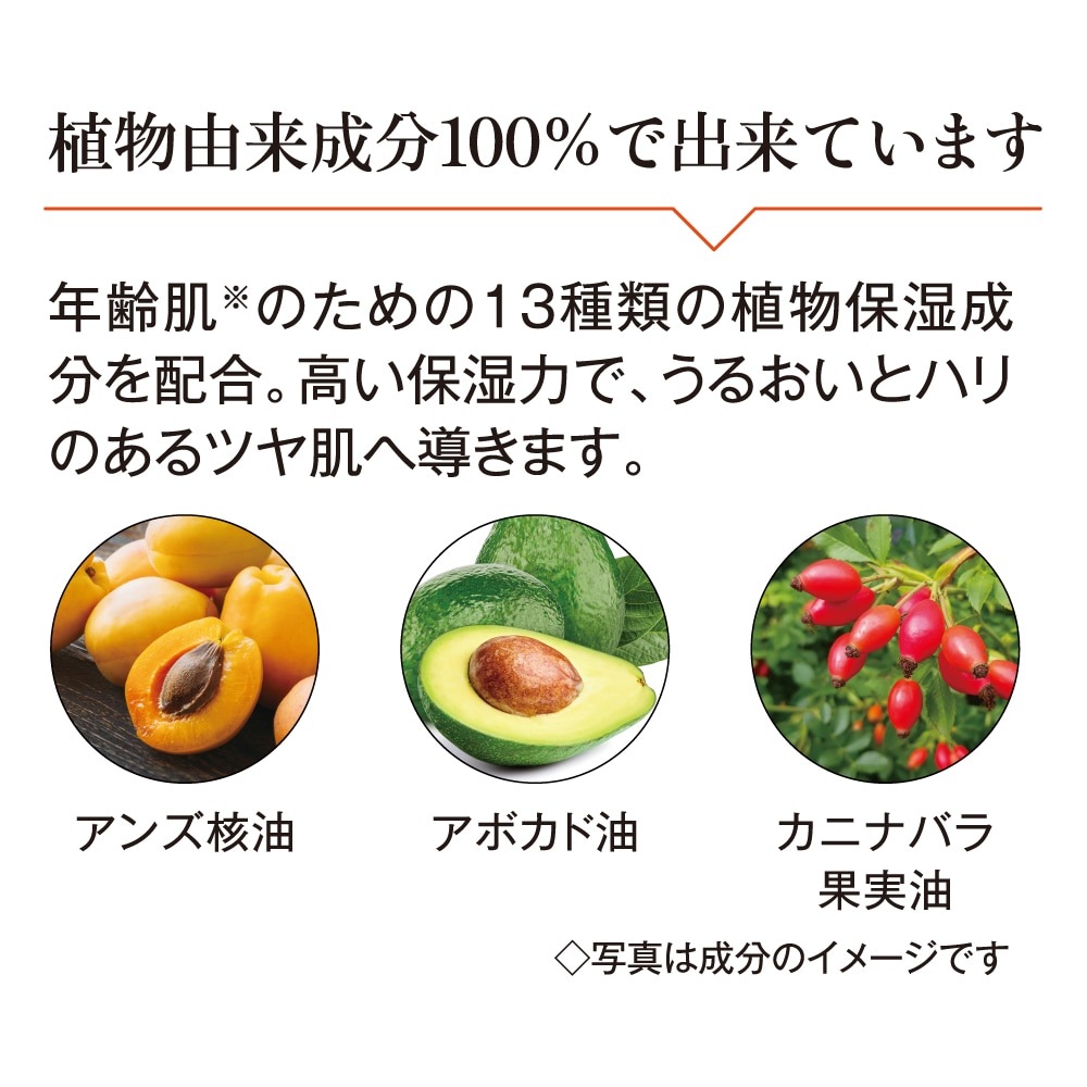 ��������������� �ץ饹