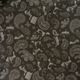 Animal Paisley Wide Jogger Pants