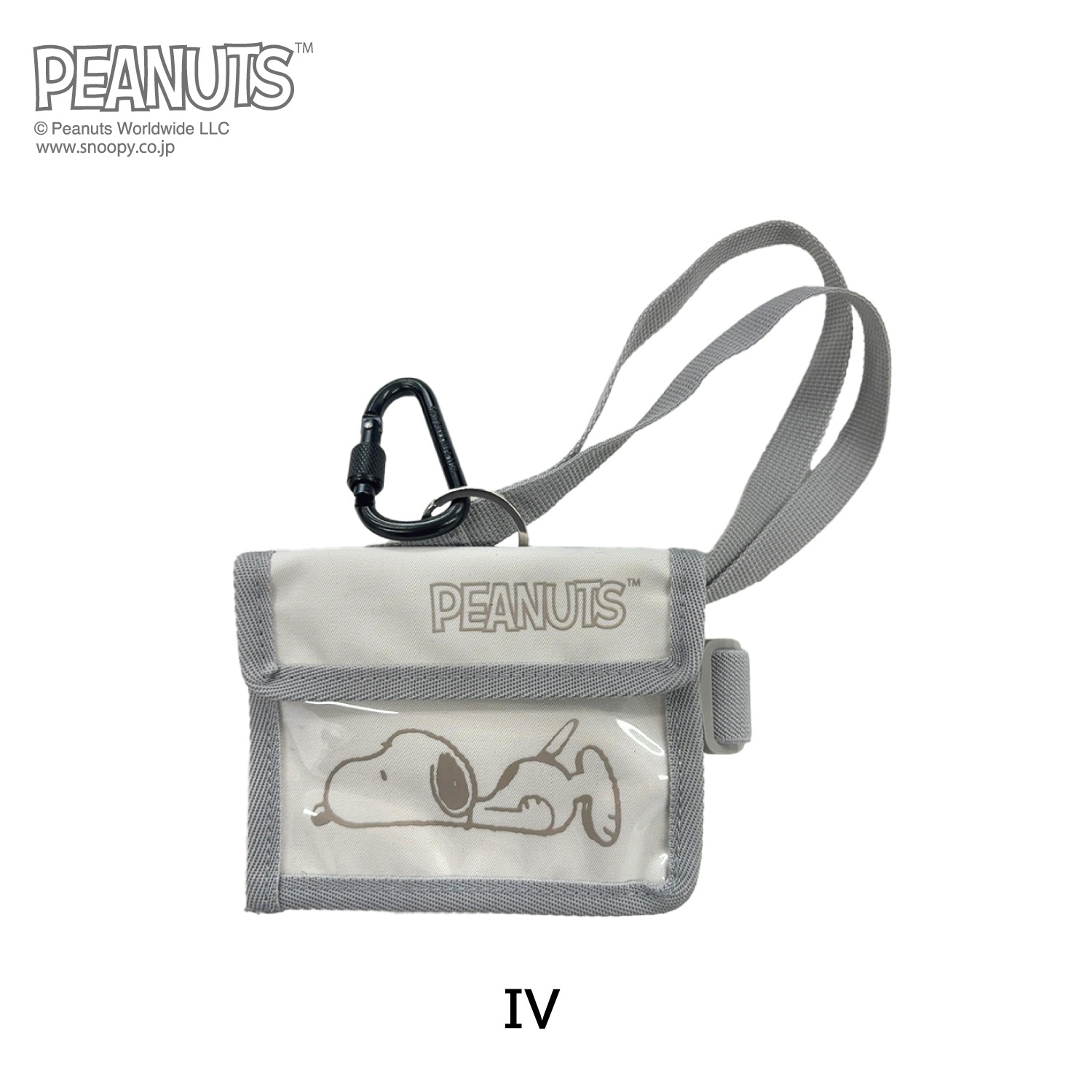 Peanuts Collaboration Passcase 