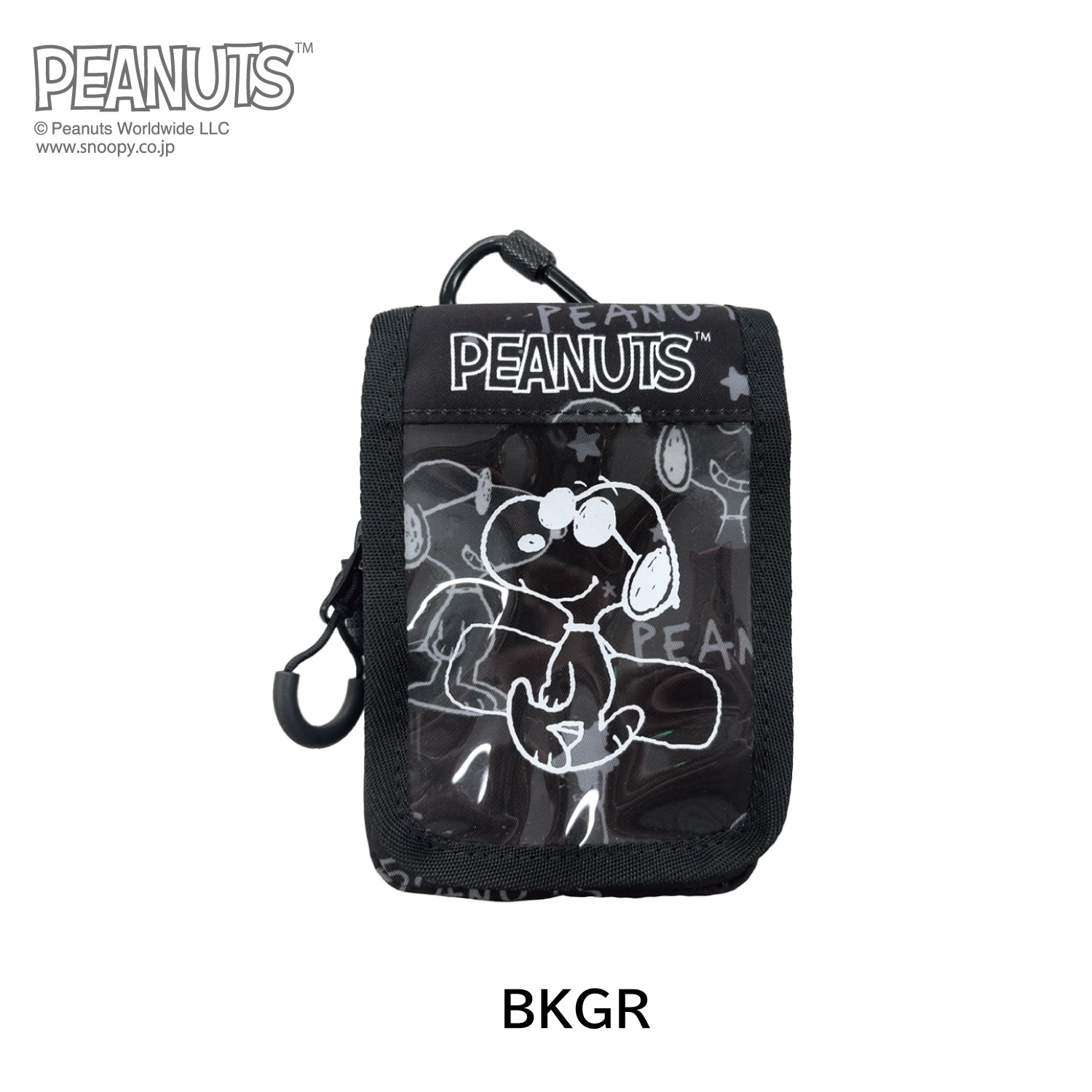 Peanuts Collaboration Box Passcase