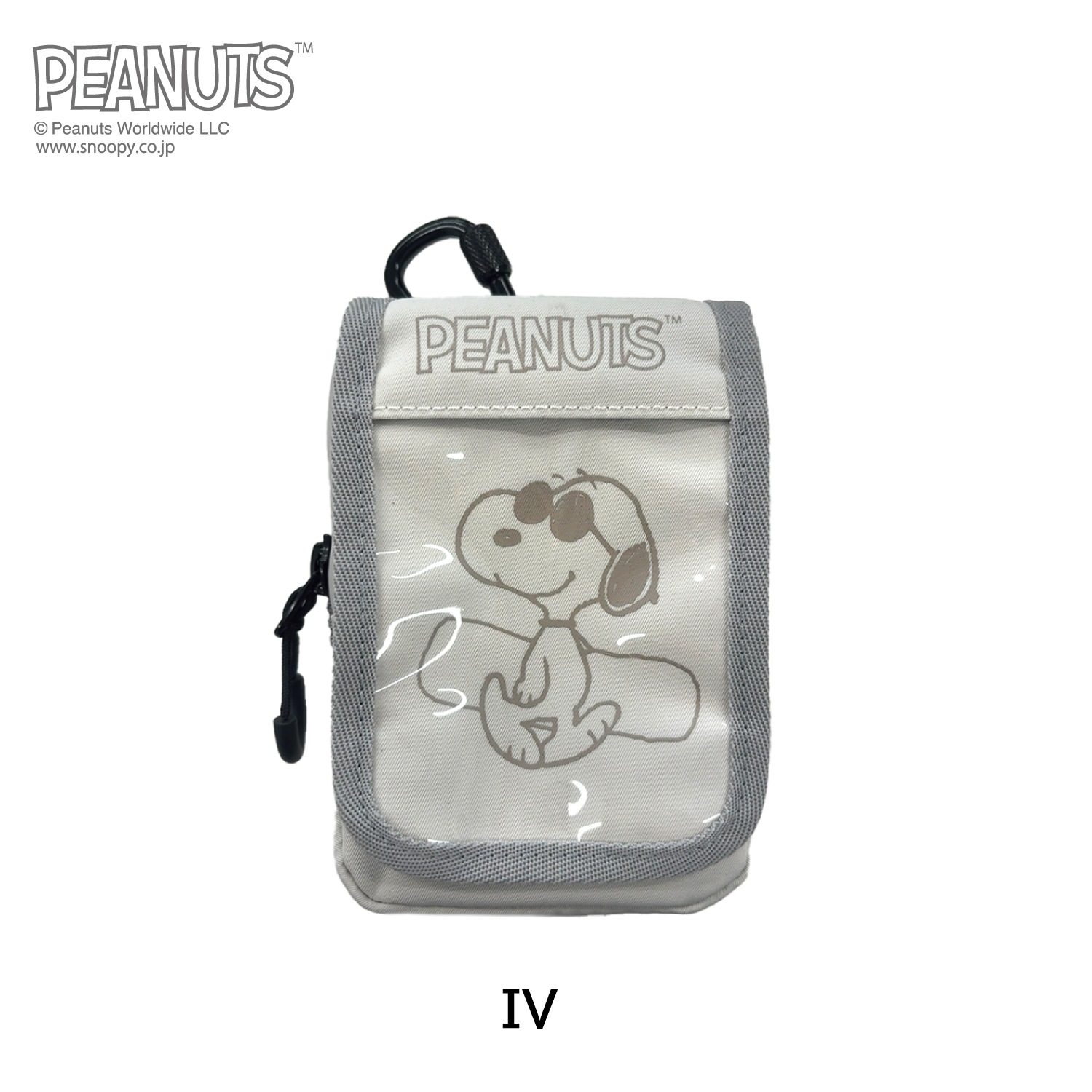 Peanuts Collaboration Box Passcase