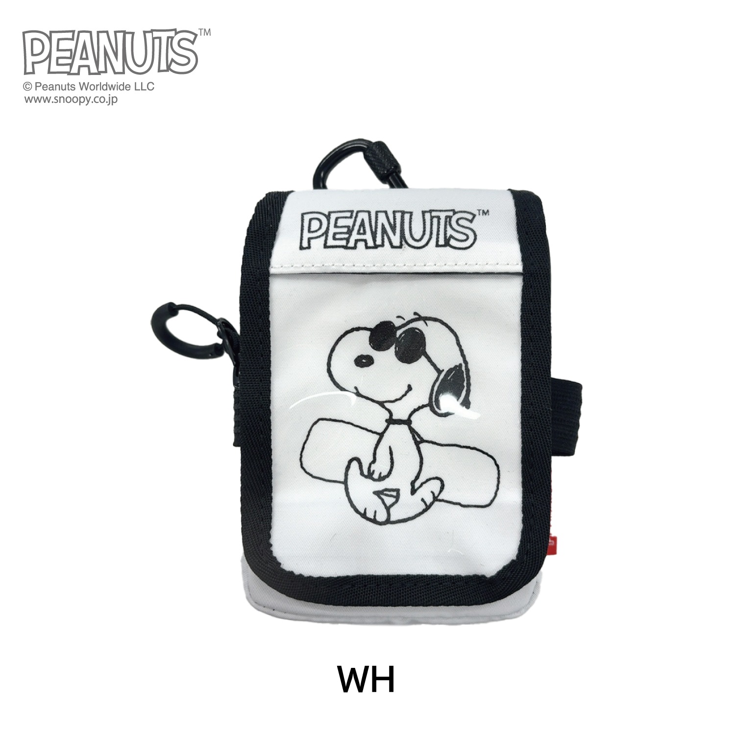 Peanuts Collaboration Box Passcase