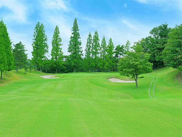 6/2～8/29☆東濃CC　平日プレー券(1名分×4枚セット)