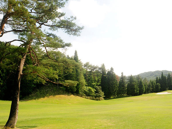 12/1～翌2/27☆ローズGC　平日プレー券(4名分×1枚セット)