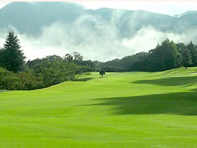 ☆SALE☆ | バリューゴルフショップ