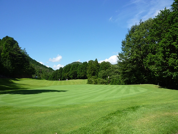 2/1～4/26☆【注意事項要確認】チェリーゴルフ ときわ台コース　土日祝プレー券(4名分×1枚セット)