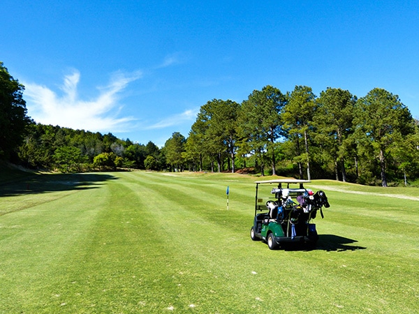 1/5～3/31☆六甲国際パブリックコース　平日プレー券(4名分×1枚セット)