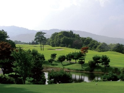 12/1～翌3/13☆名阪ロイヤルGC 平日プレー券(4名分×1枚セット) | 中部