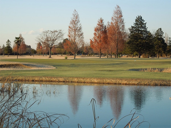 3/1～5/31☆【注意事項要確認】大宮CC　土日祝プレー券(1名分×4枚セット)