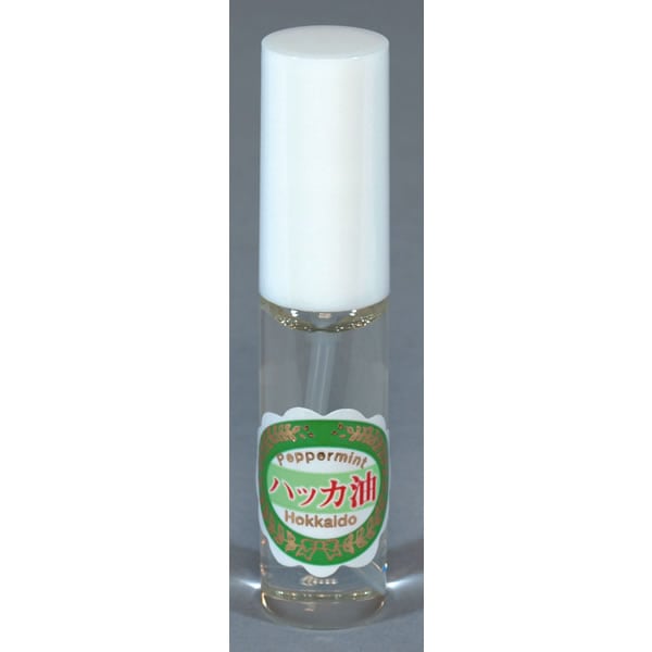 [当日出荷可][20%OFF] AIRMONTE ハッカスプレー（大） [エアモンテ]