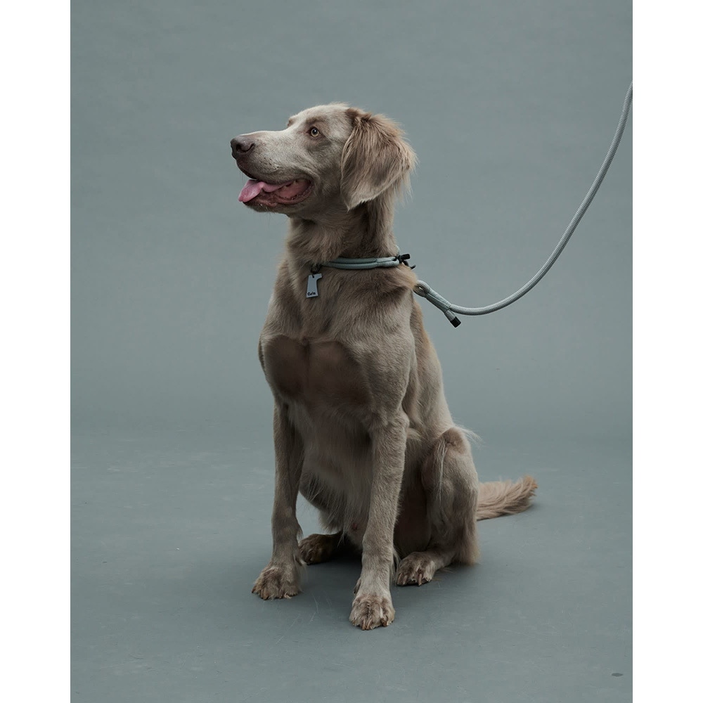 gris THE LEASH LIMESTONE 185cm [グリ]