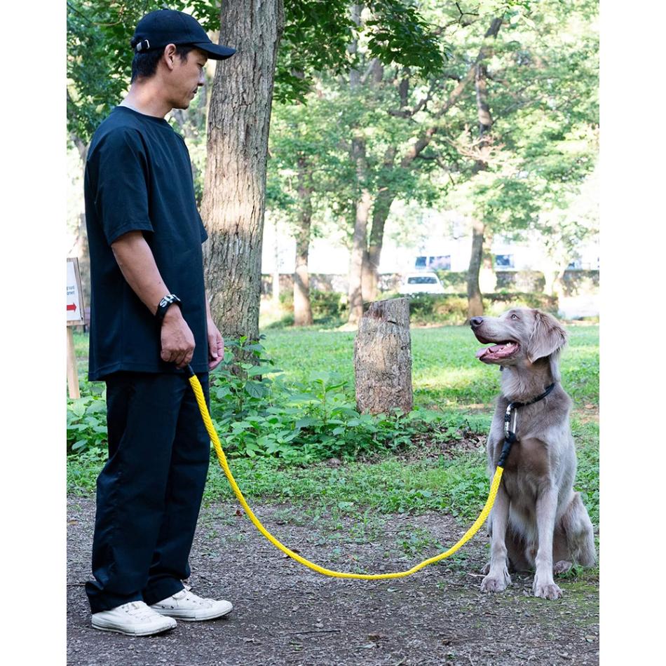 gris WINCH LEASH SHOCK YELLOW 185cm [グリ]