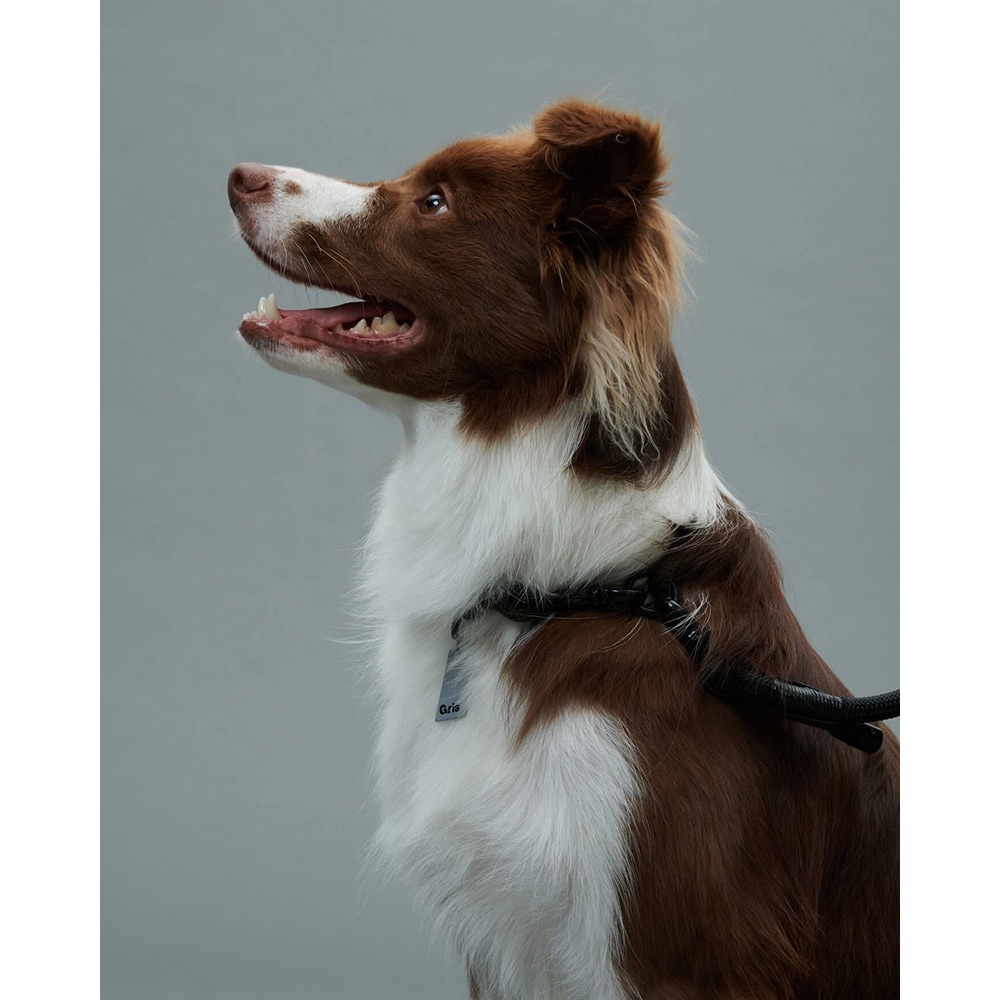 gris THE COLLAR PEAT BLACK 40cm [グリ]