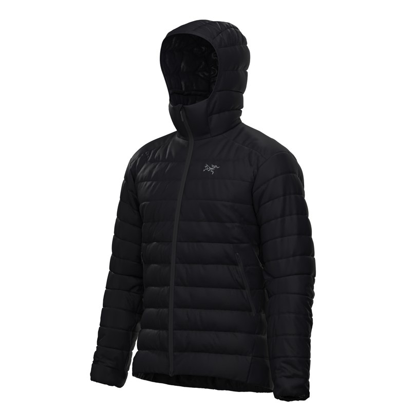 ジャケット・アウター ARC'TERYX cerium hoody M ARC'TERYX（アークテリクス） ダウンジャケット メンズ ARC'TERYX