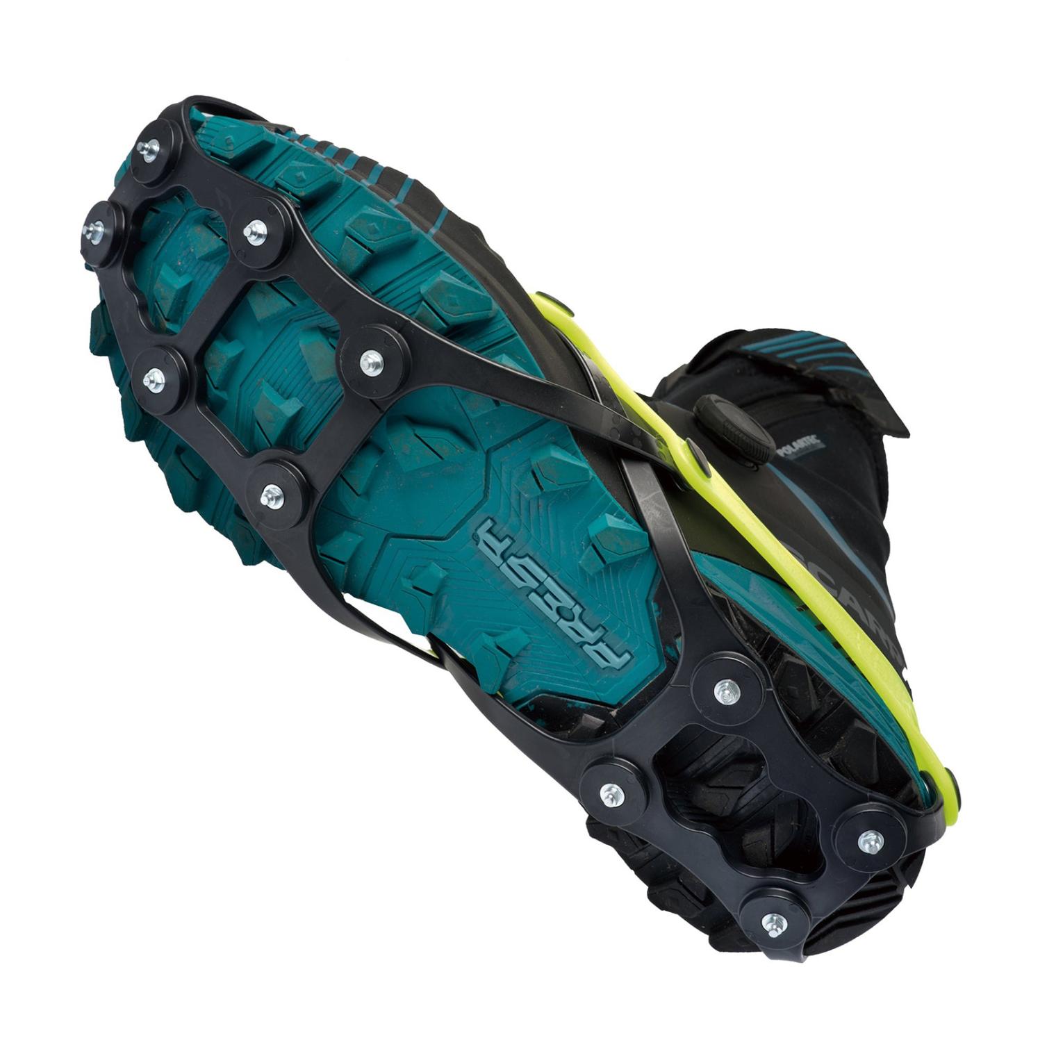 [当日出荷可] NORTEC CORSA 2.5 LEMON [ノルテック]