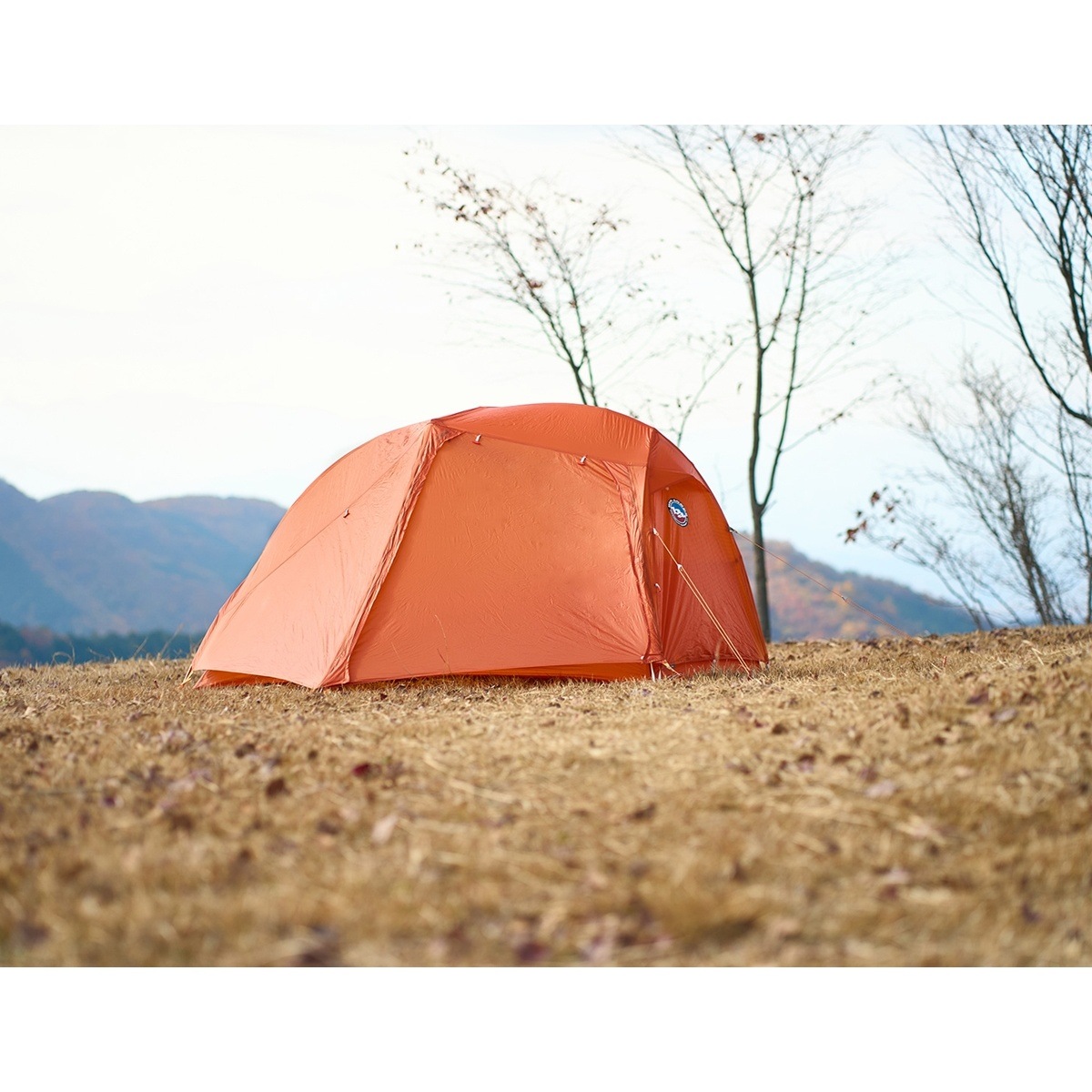 BIG AGNES コッパースプール UL1 Tangelo [ビッグアグネス]