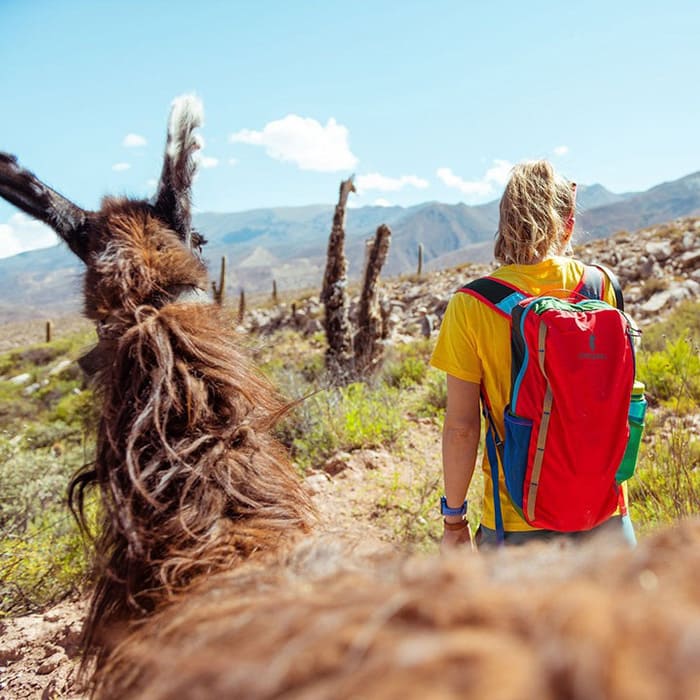 COTOPAXI BATAC 16L BACKPACK DEL DIA [コトパクシ]