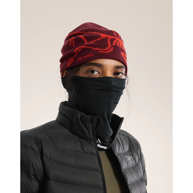 （極美品）アークテリクス　ネックゲイター 黒 ARC'TERYX アークテリクス ローライトウェイトウールネック