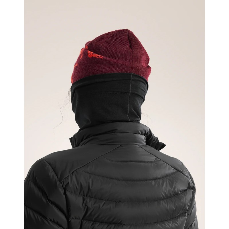 【期間限定】アークテリクス Neck Gaiter Arc'teryx Lightweight Neck Gaiter | Ultralight Breathable