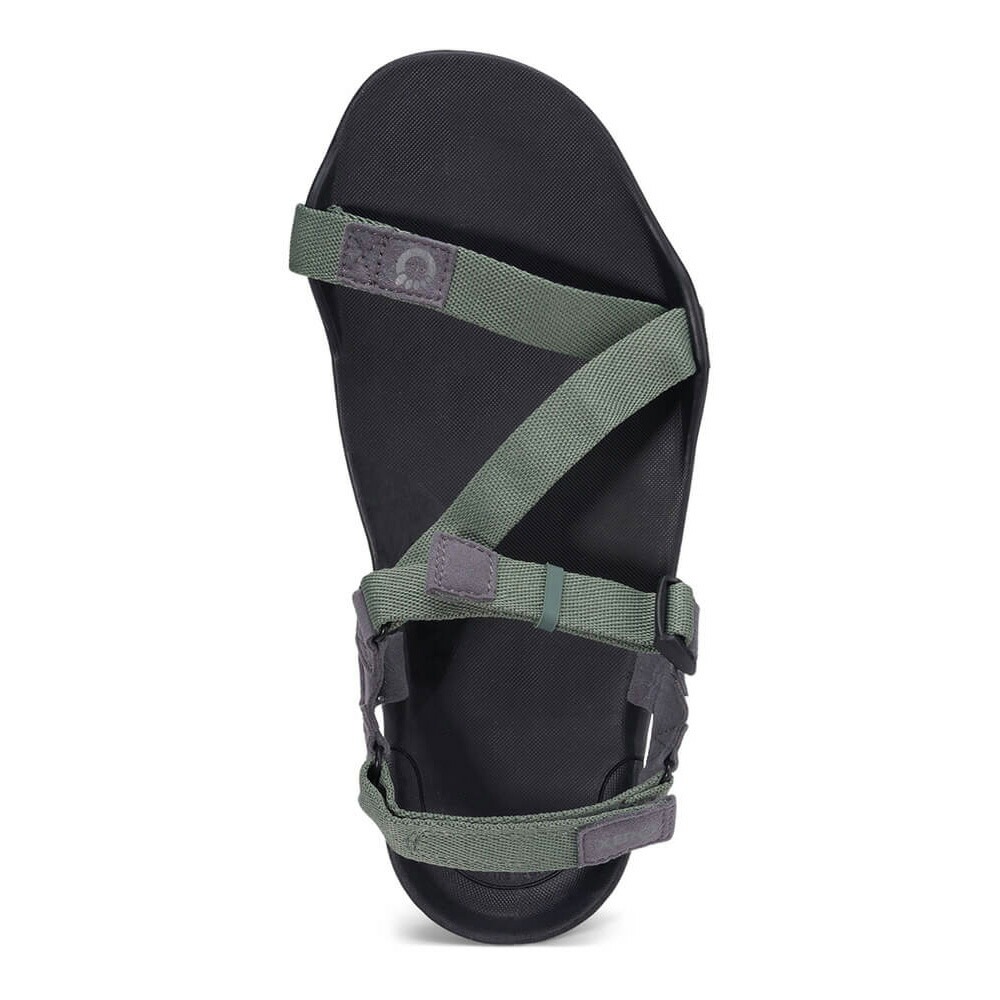 Xero Shoes Mens Z-TREK II Forest [ゼロシューズ]