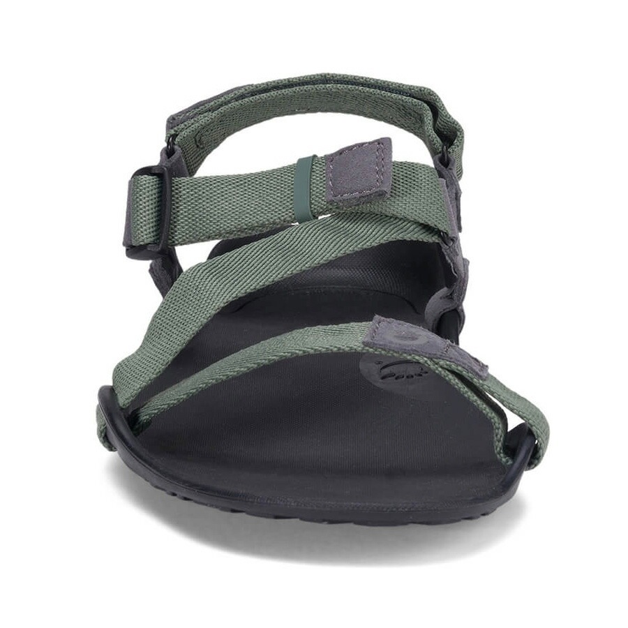 Xero Shoes Mens Z-TREK II Forest [ゼロシューズ]