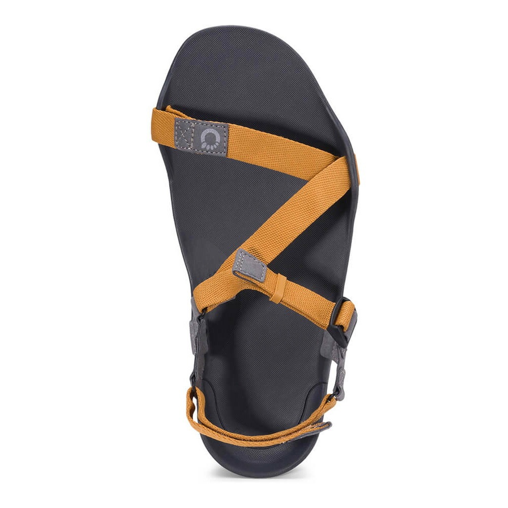 Xero Shoes Mens Z-TREK II Nugget [ゼロシューズ]