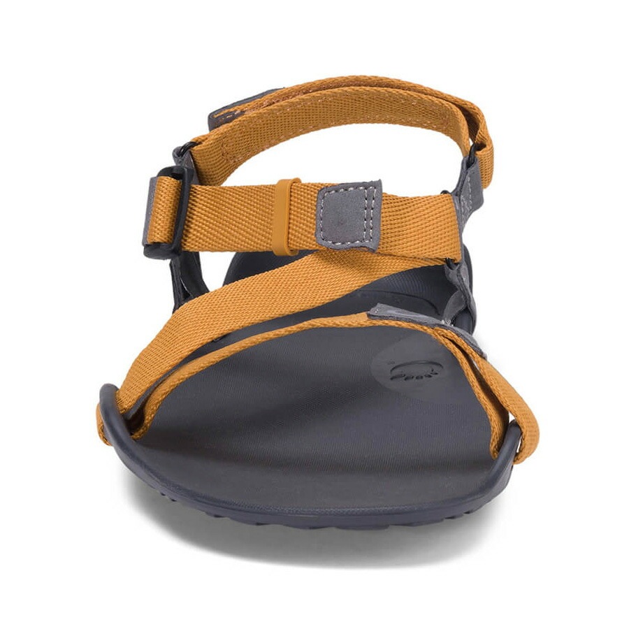 Xero Shoes Mens Z-TREK II Nugget [ゼロシューズ]
