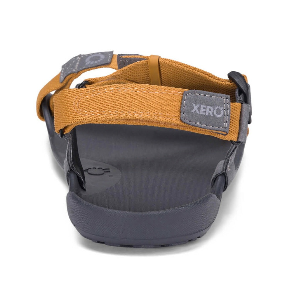 Xero Shoes Mens Z-TREK II Nugget [ゼロシューズ]