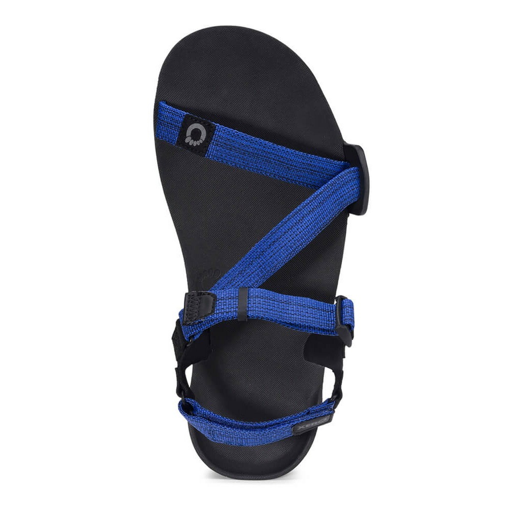 Xero Shoes Mens Z-TRAIL EV Sodalite Blue [ゼロシューズ]