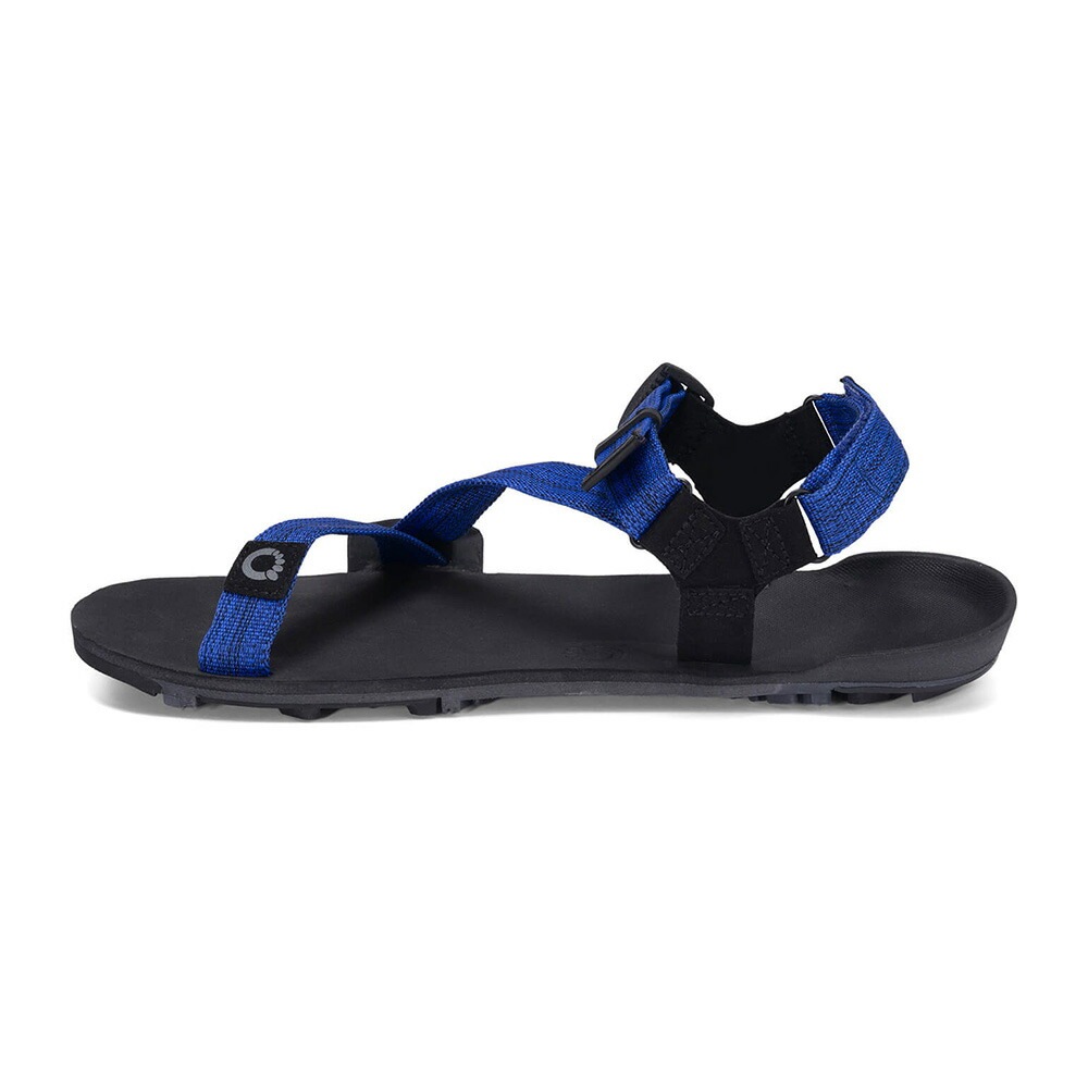 Xero Shoes Mens Z-TRAIL EV Sodalite Blue [ゼロシューズ]